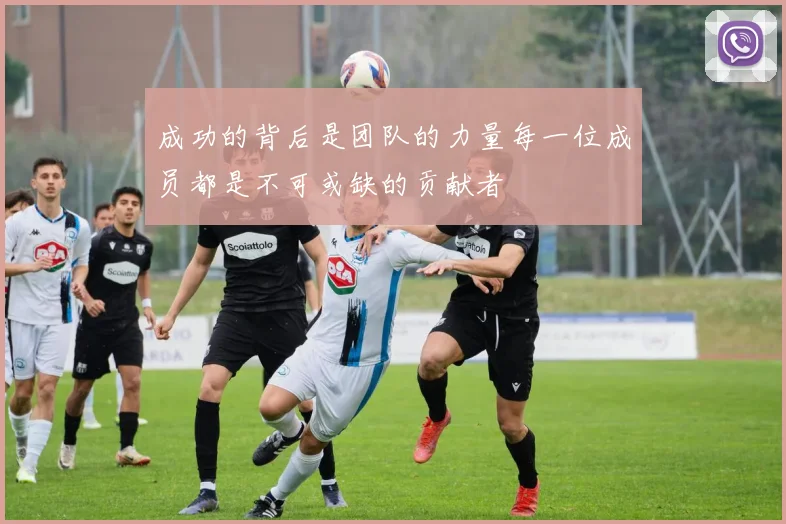 成功的背后是团队的力量每一位成员都是不可或缺的贡献者
