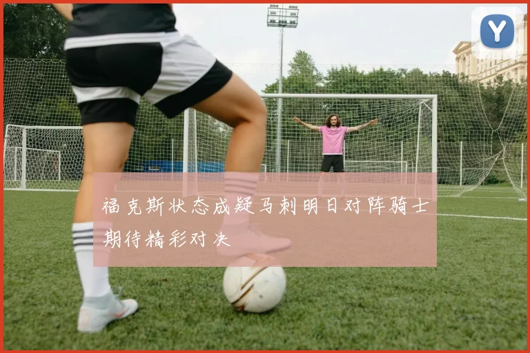 福克斯状态成疑马刺明日对阵骑士期待精彩对决