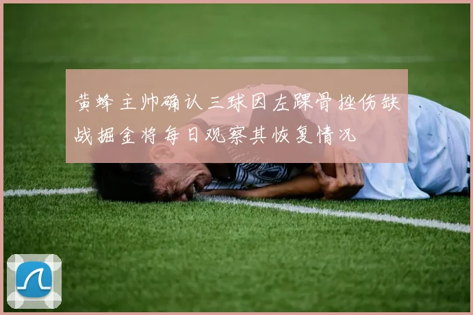 黄蜂主帅确认三球因左踝骨挫伤缺战掘金将每日观察其恢复情况