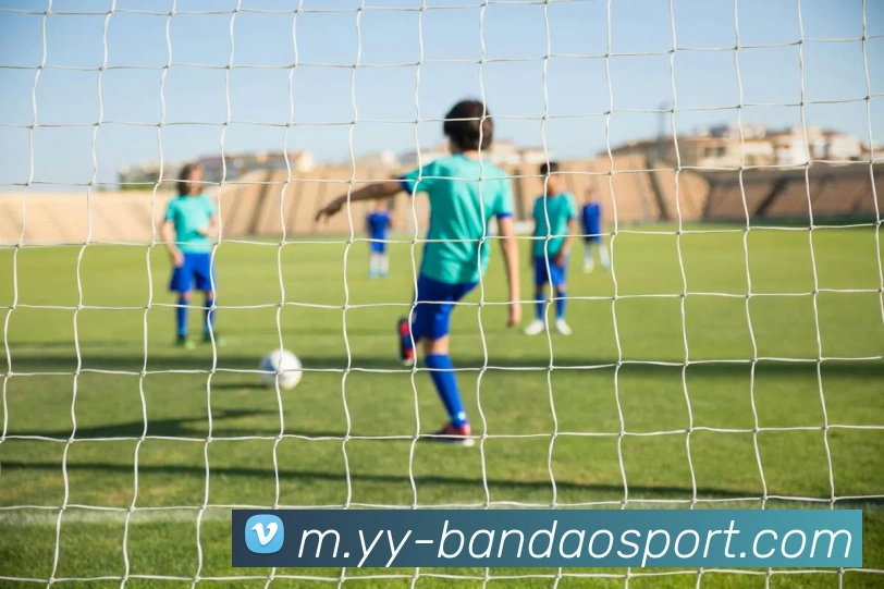 半岛足球体育APP 封面图